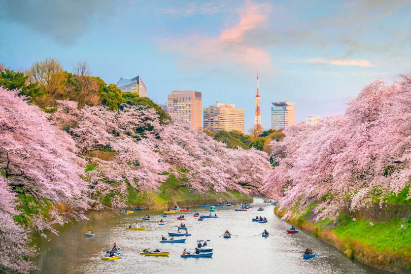 千鳥淵是東京熱門的賞櫻勝地。（圖／易遊網提供）